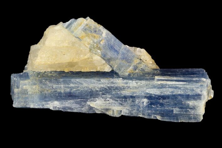 Vibrant Blue Kyanite Crystals In Quartz - Brazil #118835